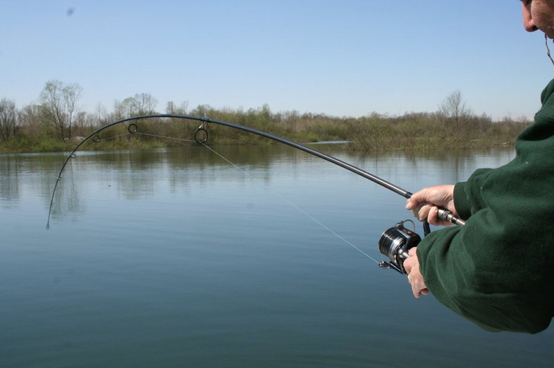 Carp Rod for Spinning